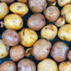 Rows of potatoes